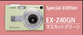 }XJbgO[