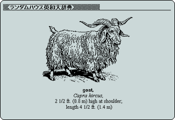 電子辞書 エクスワード - 製品情報 - CASIO