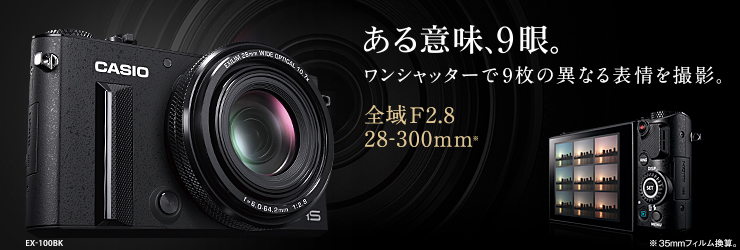EX-100 - デジタルカメラ - CASIO