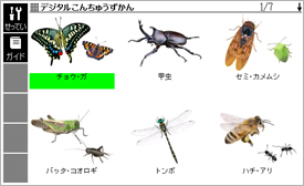 デジタル昆虫図鑑